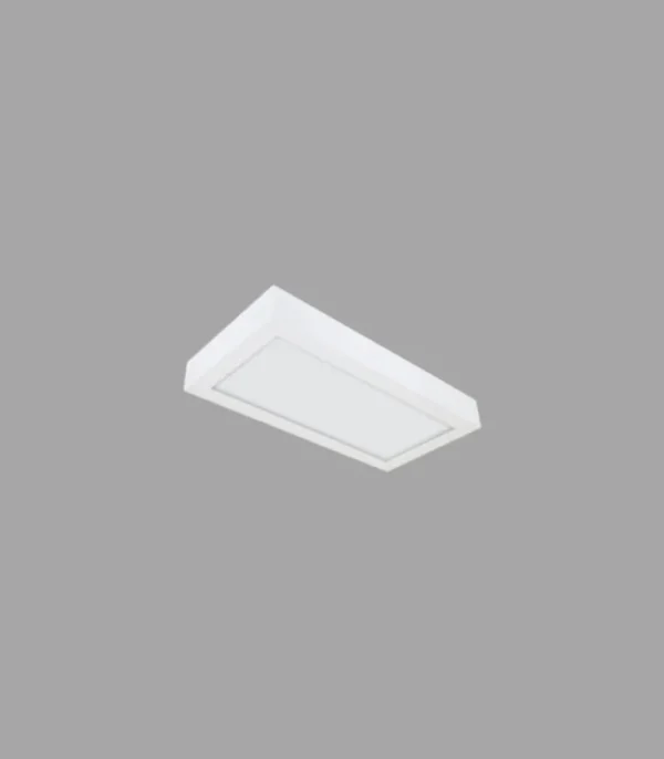 30x60 20w Sac Çerçeveli Sıva Üstü Backlight Armatür LOBA