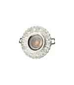 Cata CT-6660 Çınar Dekoratif LED Çerçeveli Cam Spot Kasası