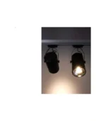 ACK AD30-01901 30W Led Monofaze Ray Armatürü Siyah COB 3000K Günışığı - Görsel 4